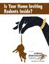 Is Your Home Inviting Rodents Inside?