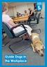 Guide Dogs in the Workplace