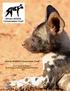 African Wildlife Conservation Fund Annual Report. By: Dr Rosemary Groom and Ms Jessica Watermeyer
