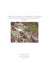A Field Guide to Reptiles and Amphibians of the BFREE (Belize Foundation for Research and Environmental Education)
