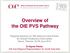 Overview of the OIE PVS Pathway