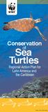 Conservation Sea Turtles