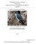 Peregrine Falcon Surveys Along The Mackenzie River, Northwest Territories, Canada