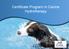 Certificate Program in Canine Hydrotherapy