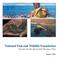 National Fish and Wildlife Foundation Eastern Pacific Hawksbill Business Plan. August, E a s t e r n P a c i f i c H a w k s b i l l