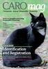and Registration Companion Animal Responsible Ownership Focus on examples promoting Responsible Ownership