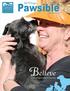 All Things. Creating Happy Endings for Special Pets