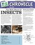 CHRONICLE INSECTS. The Wide World Of. July 2011 Issue 1. In This Issue: