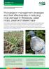 Woodpigeon management strategies and their effectiveness in reducing crop damage in Brassicas, salad crops, peas and oilseed rape