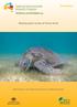 Final Report. Nesting green turtles of Torres Strait. Mark Hamann, Justin Smith, Shane Preston and Mariana Fuentes
