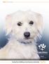 2017 Annual Report. Benji. Saving lives. Building a more humane community. Together. Adopted: October 6, 2017
