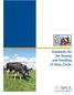Standards for the Raising and Handling of Dairy Cattle