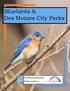 Bluebirds & Des Moines City Parks