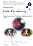Collie Eye Anomaly. Master s thesis