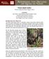 Texas Quail Index. Result Demonstration Report 2016