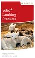 Lambing Products. Helping Farmers to provide for their Lambs