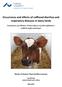 Occurrence and effects of calfhood diarrhea and respiratory diseases in dairy herds