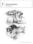 Genetics of dog behavior