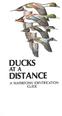 DUCKS DISTANCE AT A A WATERFOWL IDENTIFICATION GUIDE
