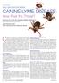 Canine Lyme disease, also called canine Lyme borreliosis,