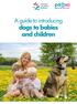 A guide to introducing dogs to babies and children