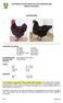SOUTHERN AFRICAN SHOW POULTRY ORGANISATION BREED STANDARDS AUSTRALORP
