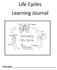 Life Cycles Learning Journal