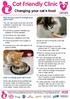 Cat Friendly Clinic. Changing your cat s food
