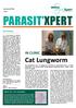 PARASIT XPERT. Cat Lungworm IN CLINIC EDITORIAL NEWSLETTER. Issue 1 ABOUT THE CAT LUNGWORM
