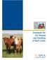 Standards for the Raising and Handling of Beef Cattle
