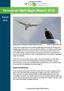 Vancouver Bald Eagle Report 2013