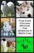 Pure Paws Explains Methods For Improving A White Coat