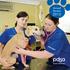 PDSA vision. PDSA mission. A healthy life for all our pets