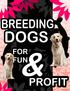 Contents 2 PREPARE YOURSELF FOR BREEDING A LITTER BREED TO IMPROVE UNDERSTAND THE COMMITMENT CHOOSE A SUITABLE MATE...