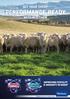 GET YOUR SHEEP PERFORMANCE READY WITH MULTIMIN IMPROVING FERTILITY & IMMUNITY IN SHEEP