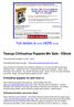 Full version is >>> HERE <<< Teacup Chihuahua Puppies Mn Sale - EBook