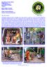 Dog Rescue Center Samui Brigitte Gomm 112/35 Moo 6 Bophut Samui Suratthani Thailand