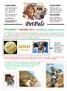 PetPals GOLD. Newsletter December 2012 Distributed by Chameleon Innovation. Account Details: Contact Details: NPO and PBO: Coolest pup