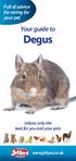 Full of advice for caring for your pet. Your guide to Degus. Jollyes, only the best for you and your pets.