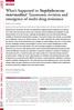 What s happened to Staphylococcus intermedius? Taxonomic revision and emergence of multi-drug resistance