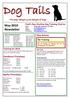 May 2010 Newsletter. Fred s Pass Positive Dog Training Club Inc Postal PO Box 1167, Palmerston, NT, 0831