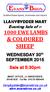 Evening Sale of : EWE LAMBS & COLOURED SHEEP