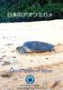 Green turtle of Japan