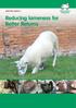 SHEEP BRP MANUAL 7. Reducing lameness for Better Returns