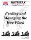 Feeding and Managing the Ewe Flock
