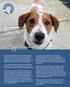 Appreciation. Homeward Pet Winter News! See how you made a difference in Winter Issue - February 2017