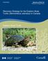 Recovery Strategy for the Eastern Musk Turtle (Sternotherus odoratus) in Canada
