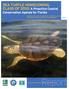 Report. SEA TURTLE HOMECOMING, CLASS OF 2010: A Proactive Coastal. Conservation Agenda for Florida