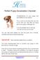 Perfect Puppy Socialization Checklist