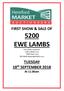 FIRST SHOW & SALE OF 5200 EWE LAMBS. Ewe lambs comprise: 2100 Suffolk cross 2600 Texel cross 500 Welsh Mule/Aberfield cross